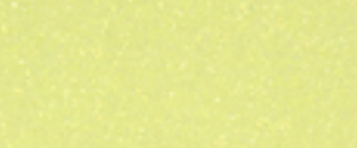 Glitter HTV Neon