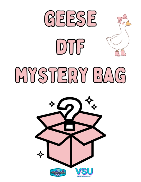 Holiday DTF Mystery Bags