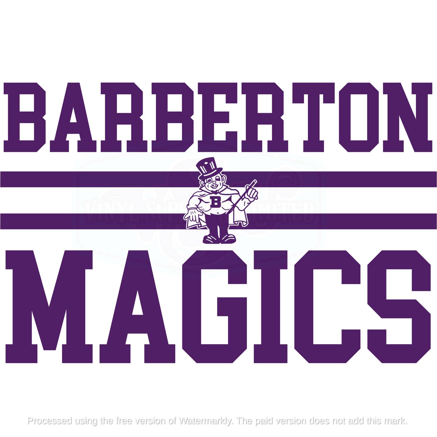 BARBERTON MAGICS