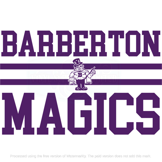 BARBERTON MAGICS