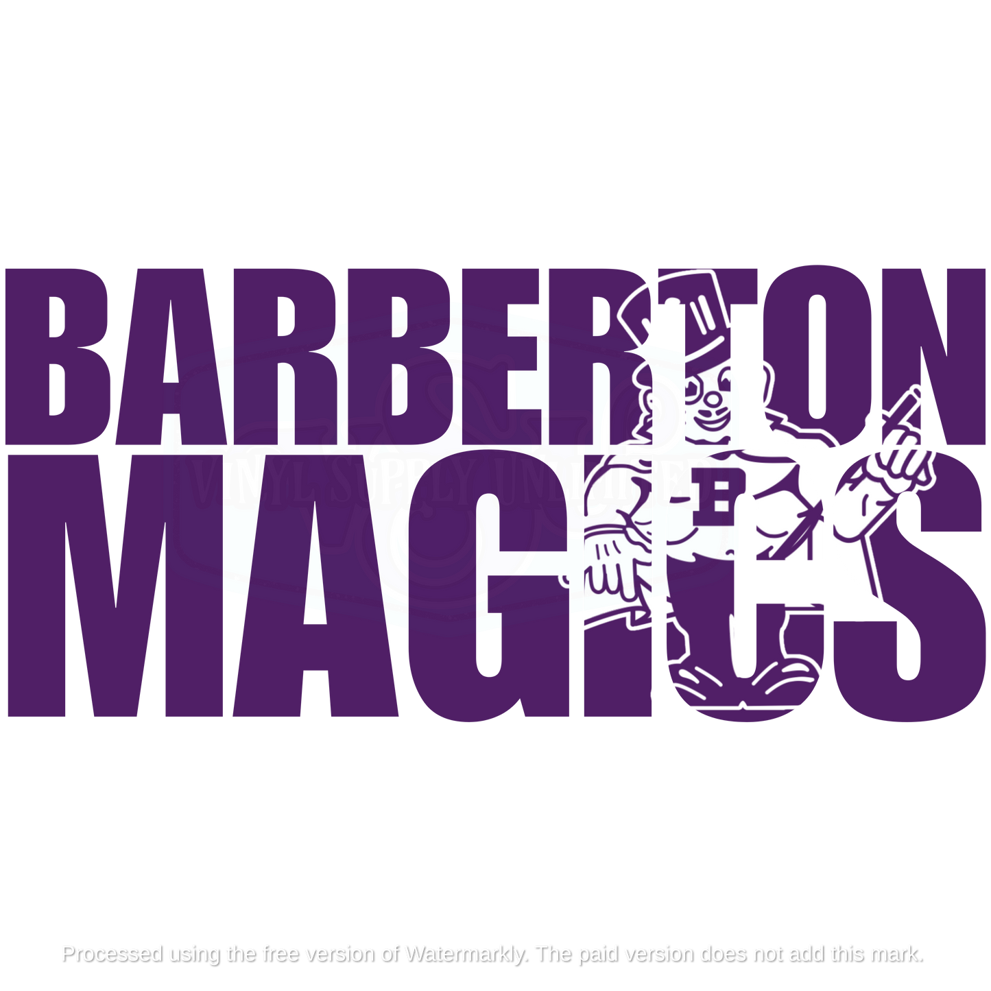 BARBERTON MAGICS