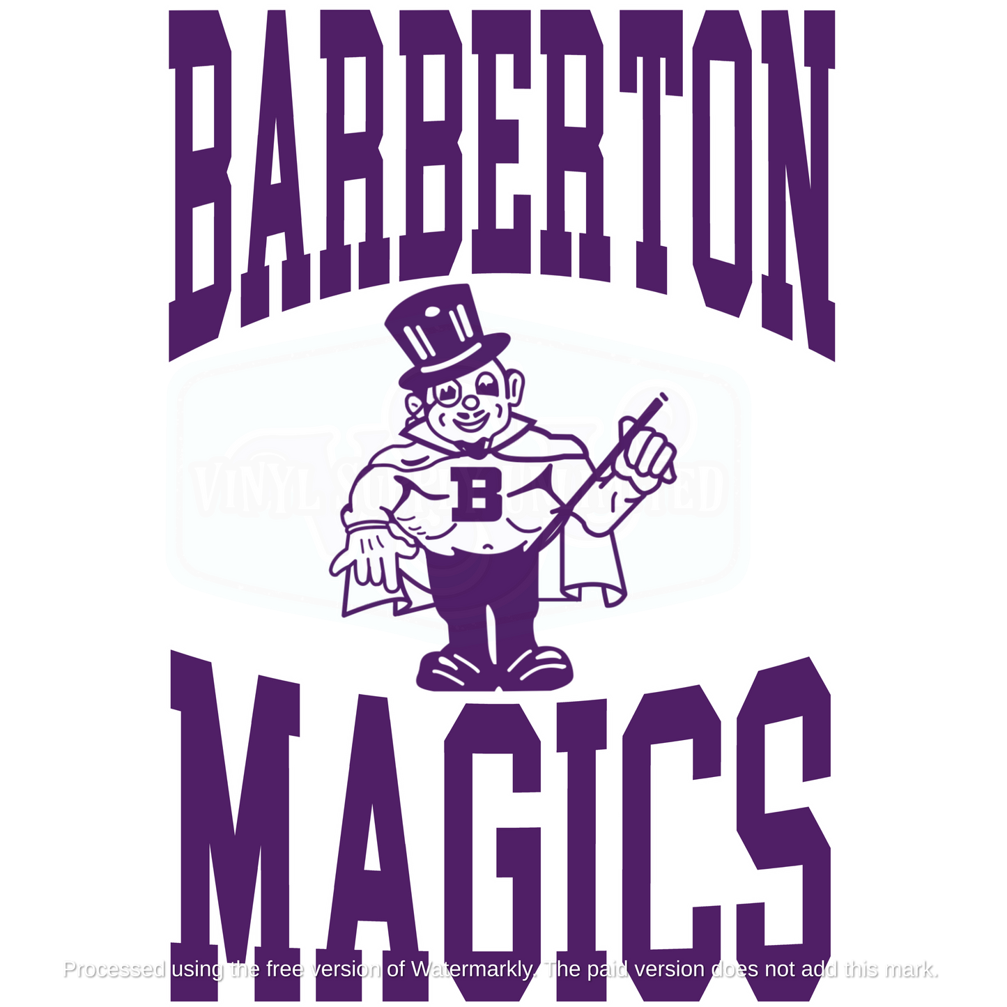 BARBERTON MAGICS